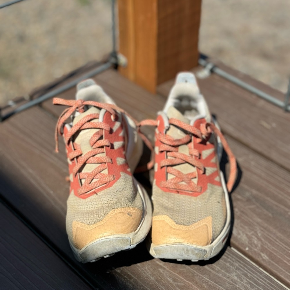 Salomon running shoes